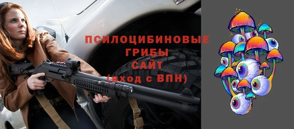 стафф Арсеньев