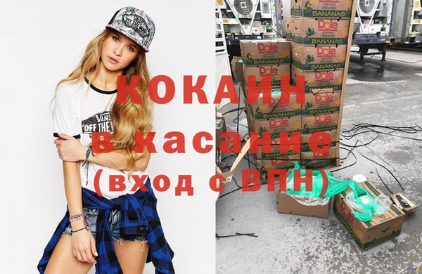 стафф Арсеньев