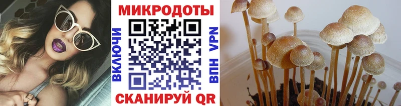 продажа наркотиков  МЕГА ONION  Псилоцибиновые грибы ЛСД  Октябрьск 